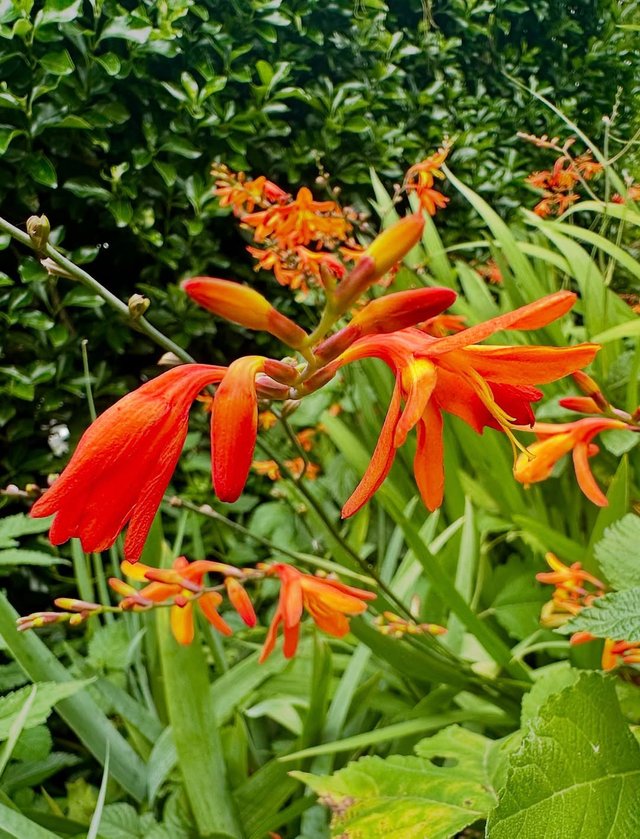 IMG_20250617_082102.jpg