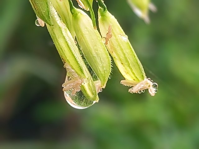 20250416_064439~2.jpg