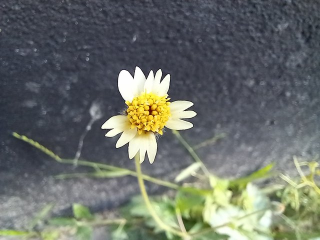 20251015_082026.jpg