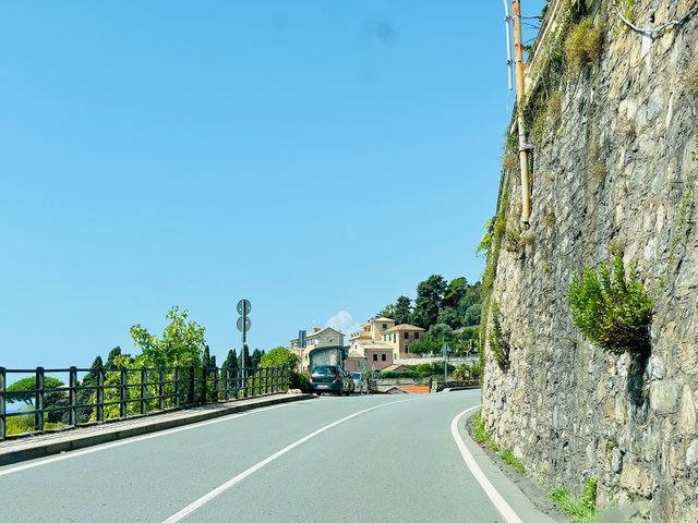IMG_9798.jpeg