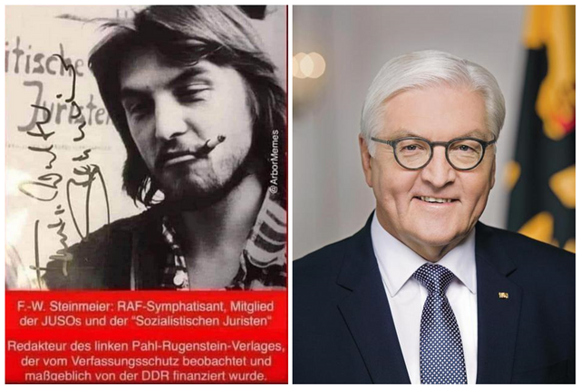 halunke steinmeier.png