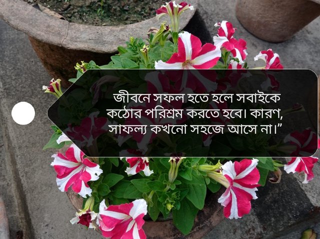 IMG-20250606-WA0000.jpg