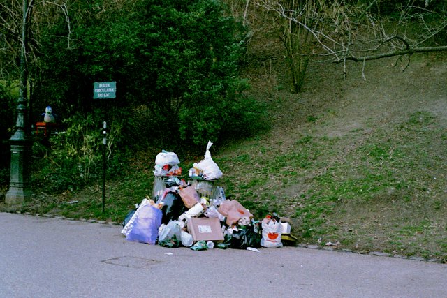 imm009_11.jpg