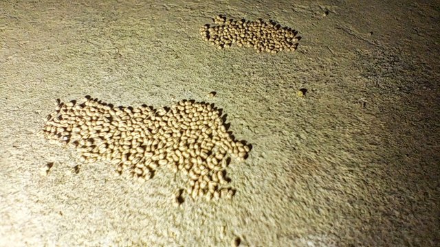 20240527_171828.jpg