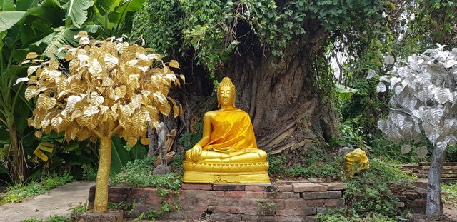 20180803_123027.jpg
