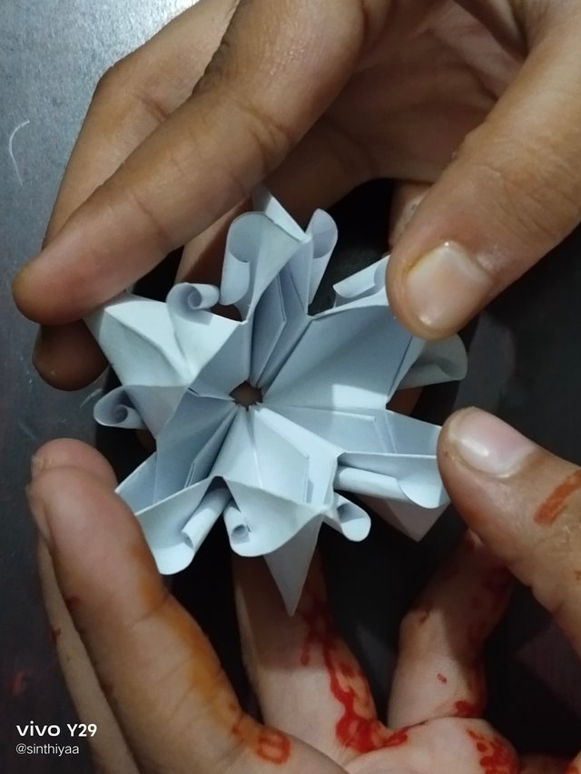 1000016775.jpg