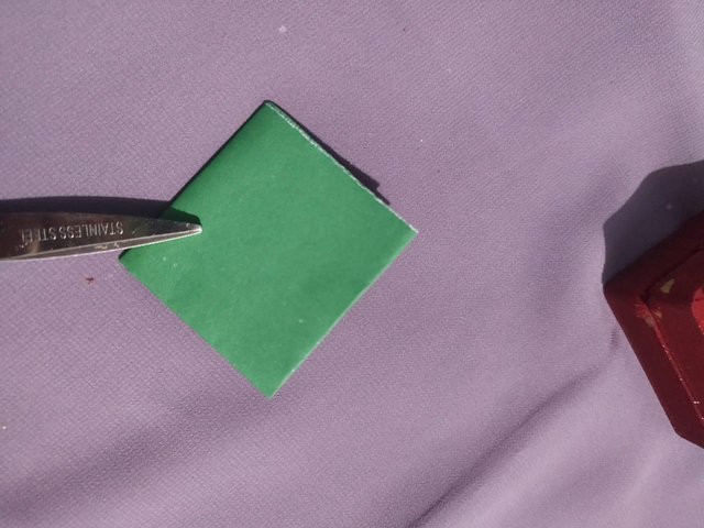 1000009725.jpg