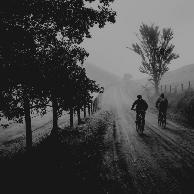 Black and White Filter and Friends Biking Life Quotes.png
