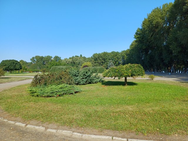 20250810_090600.jpg