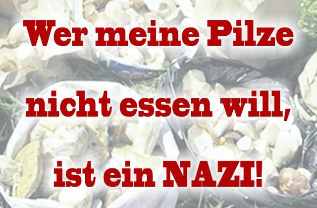 pilze.jpg