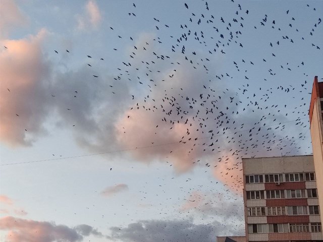 photo5447117536605878164.jpg