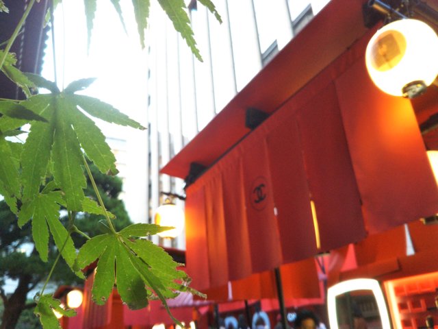 CHANEL MATSURI in KYOTO✨京都 六角堂でシャネルマツリ — Steemit