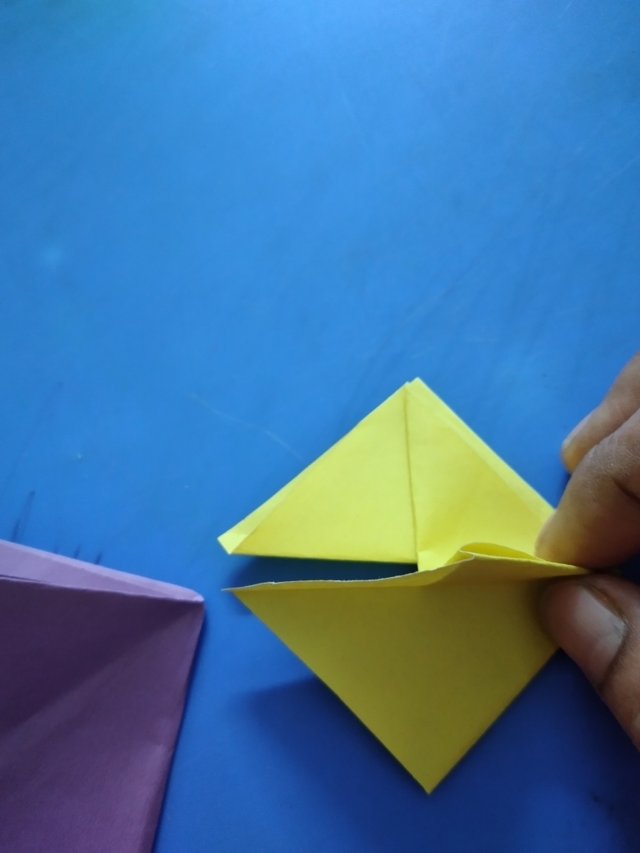 20250406_202514.jpg