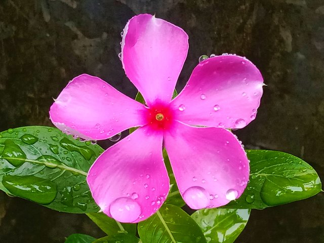 IMG_20250617_220623.jpg