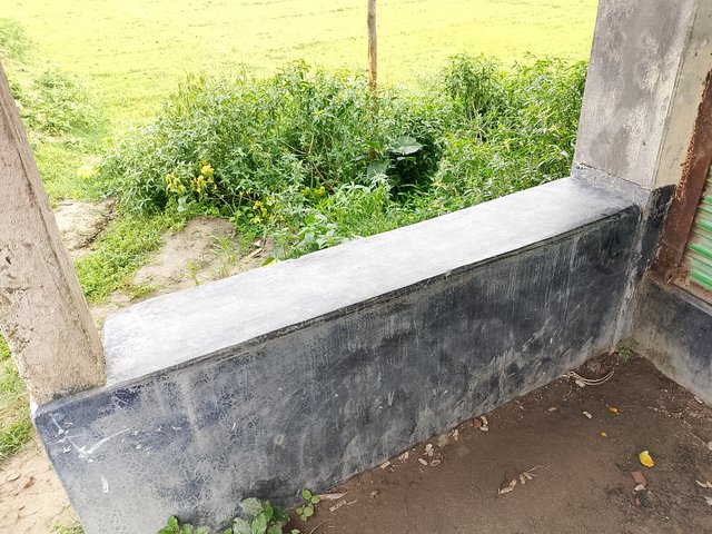 1000042694.jpg