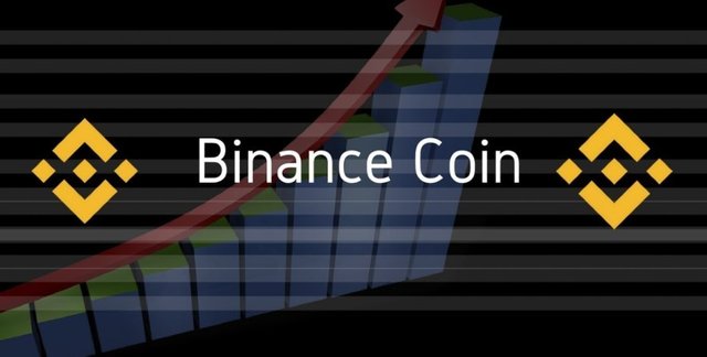 Binance-Coin-BNB-en-busca-de-los-20-los-logrará-superar.jpg