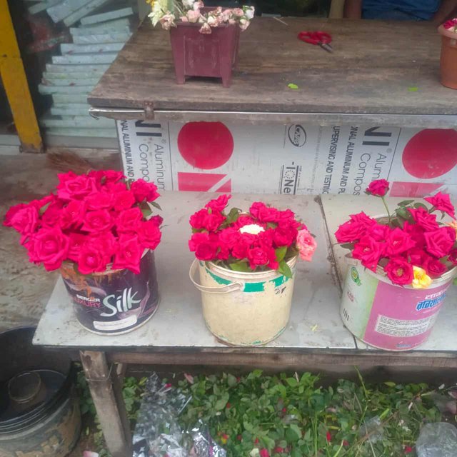 80ccf5b5-8a12-4219-8436-058137c93812.jpeg