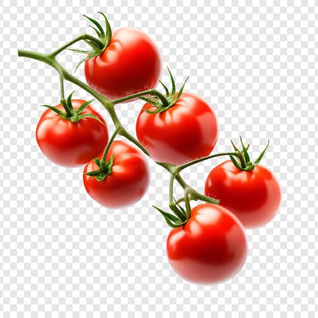 juicy-red-tomatoes-vine-vibrant-still-life_191095-84230.jpg