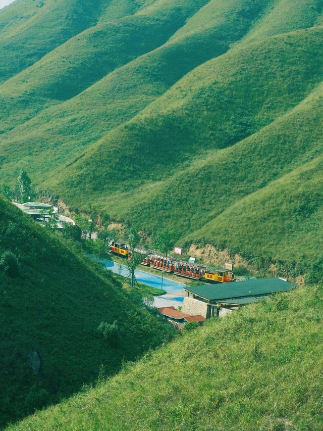 在福建🟢闯入宫崎骏世界的抹茶山_6_蒸鸭梨儿_来自小红书网页版.jpg