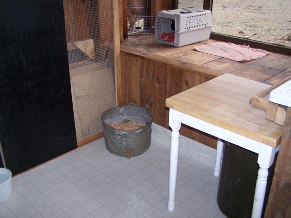 2.Butcher Shop - In front of bay window crop Dec. 08.jpg