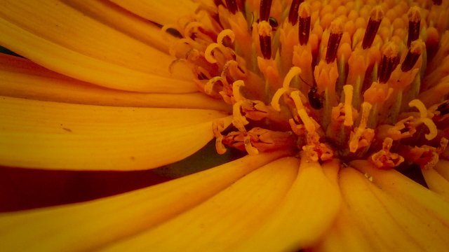 IMG_20250503_103703_