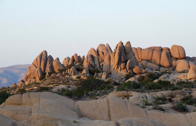 1275-JoshuaRocks.jpg