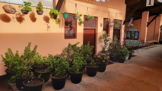 IMG_20250607_181805_907.jpg