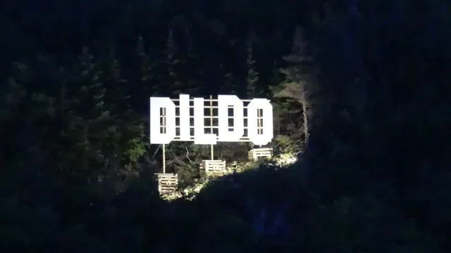 dildo-sign.webp