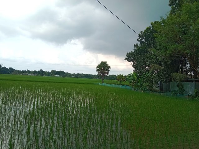 IMG_20250916_151145.jpg