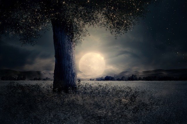 night with full moon and a silloquette of a tree.jpg