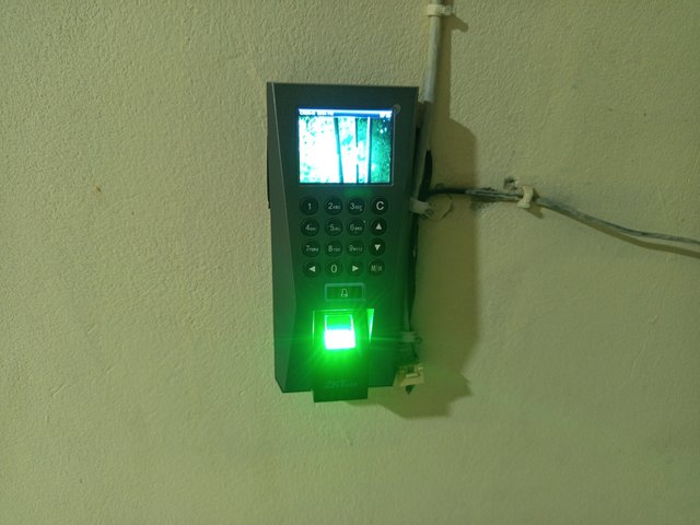 1000008383.jpg