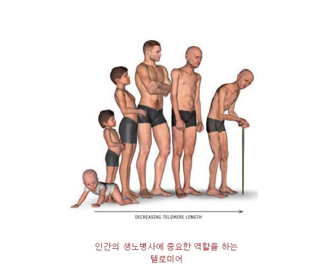 텔3.jpg