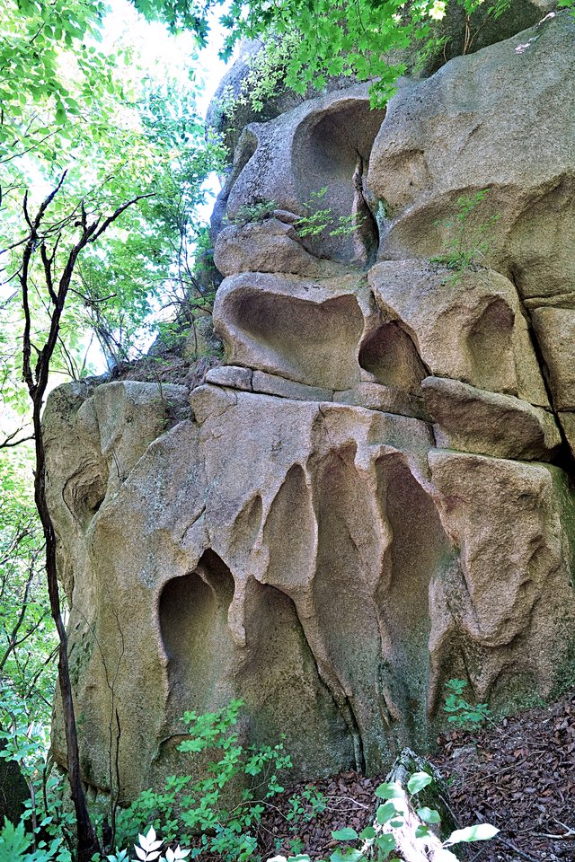 b-DSC09008.JPG