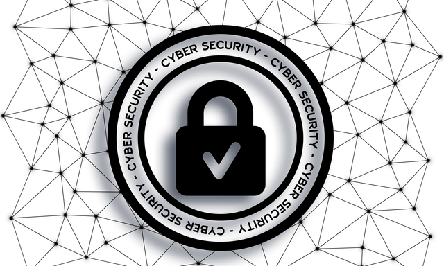 cyber-security-4498009_640.png