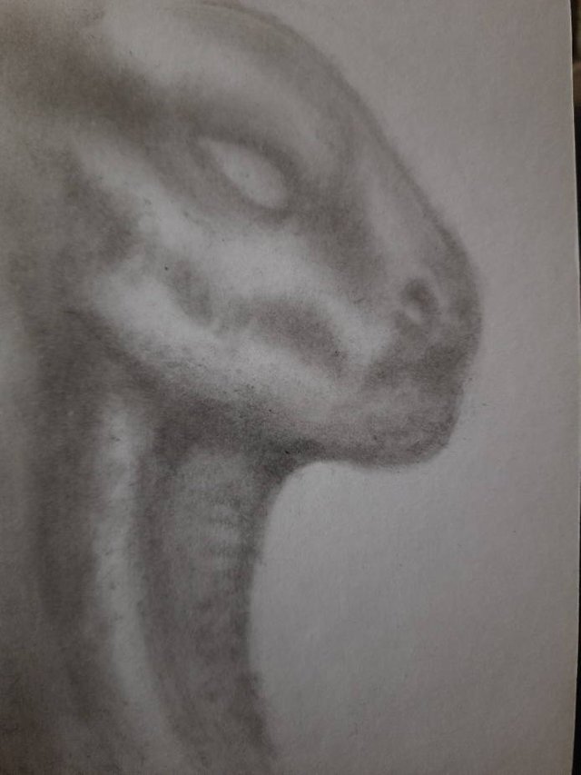 20250419_110036.jpg