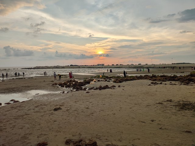 1000035201.jpg