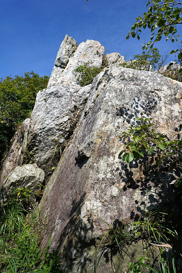 b-DSC08280.JPG