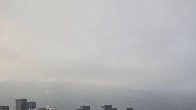 1000124270.jpg