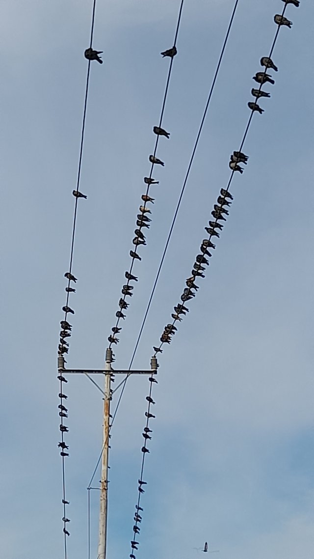 20250818_171952.jpg