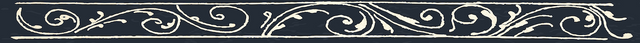 IMG_1016.png