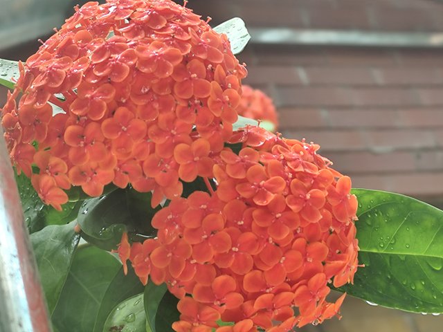 IMG_20250521_123827.jpg