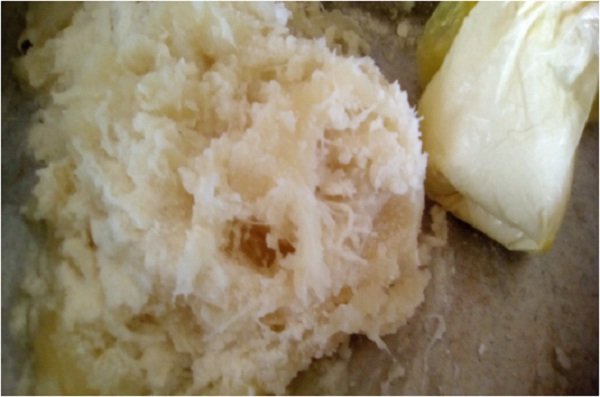 Yuca camaron.jpg