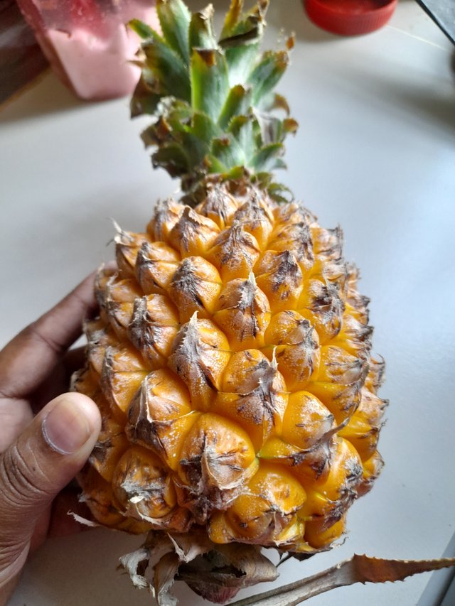 20230505_171323.jpg