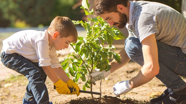 tree-planting_pec-news-1024x575.jpg