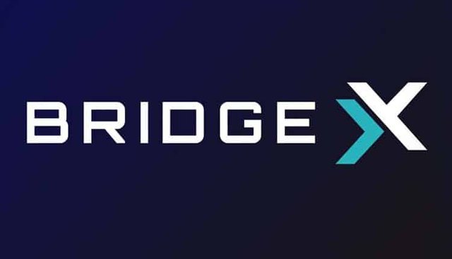 BridgeX-Network-Main-1.jpg
