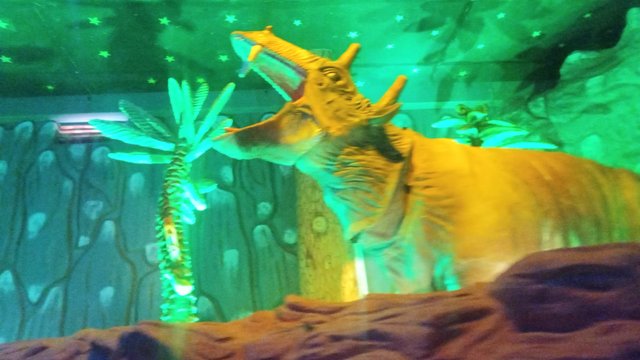 20250505_135302.jpg