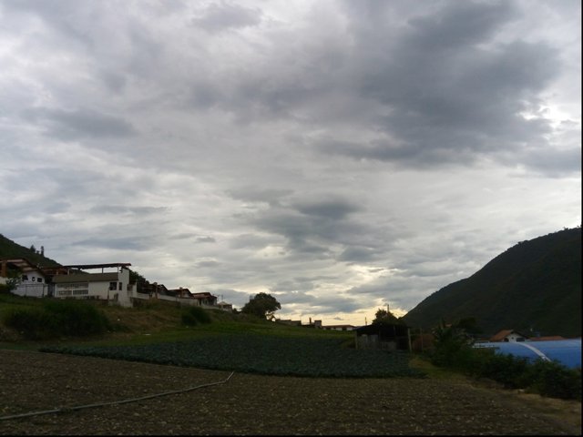 IMG_20250609_083413_294.jpg