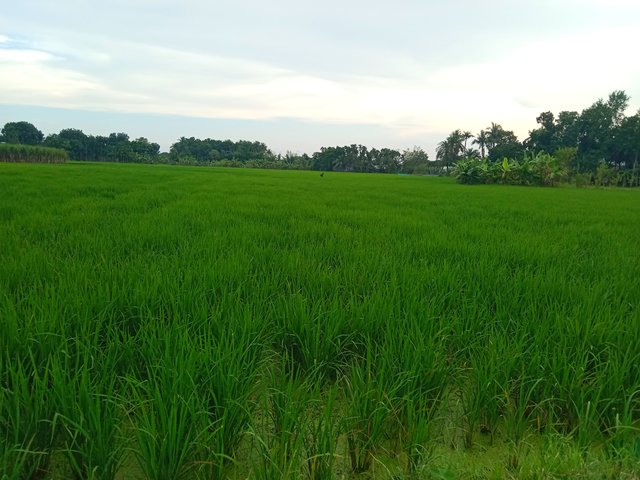 IMG_20250910_210411.jpg
