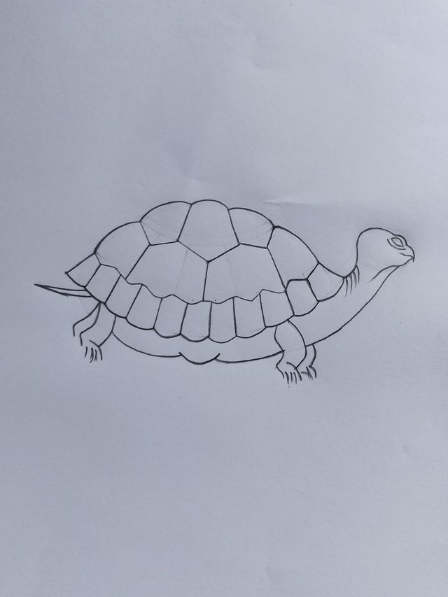 1000053266.jpg