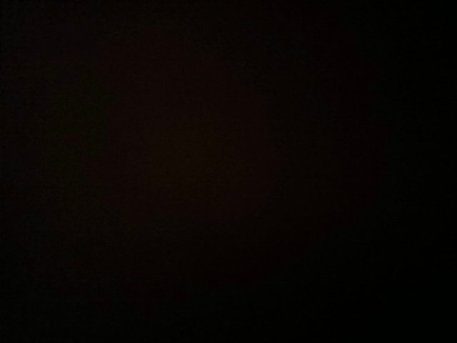 1000608445.jpg